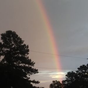 Meet your Posher, Rose